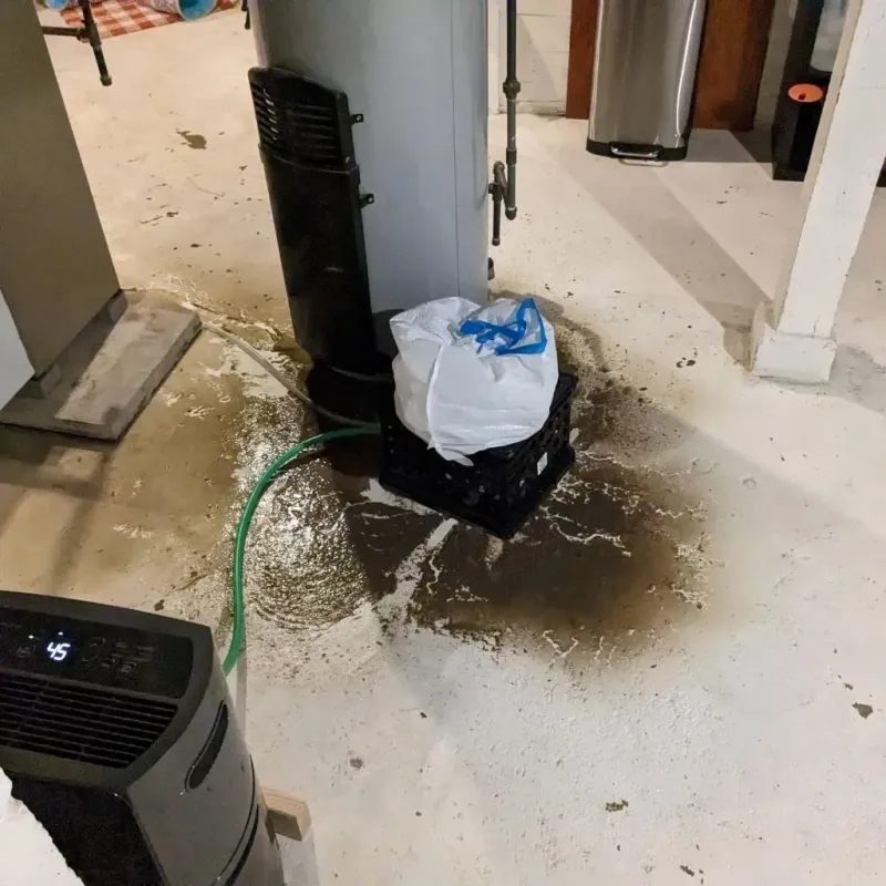 Sewage Backup Cleanup Service in Apple Creek, OH